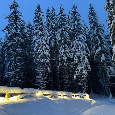 ホテル Algara Hut パニチシテ エクステリア 写真