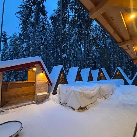 ホテル Algara Hut パニチシテ エクステリア 写真