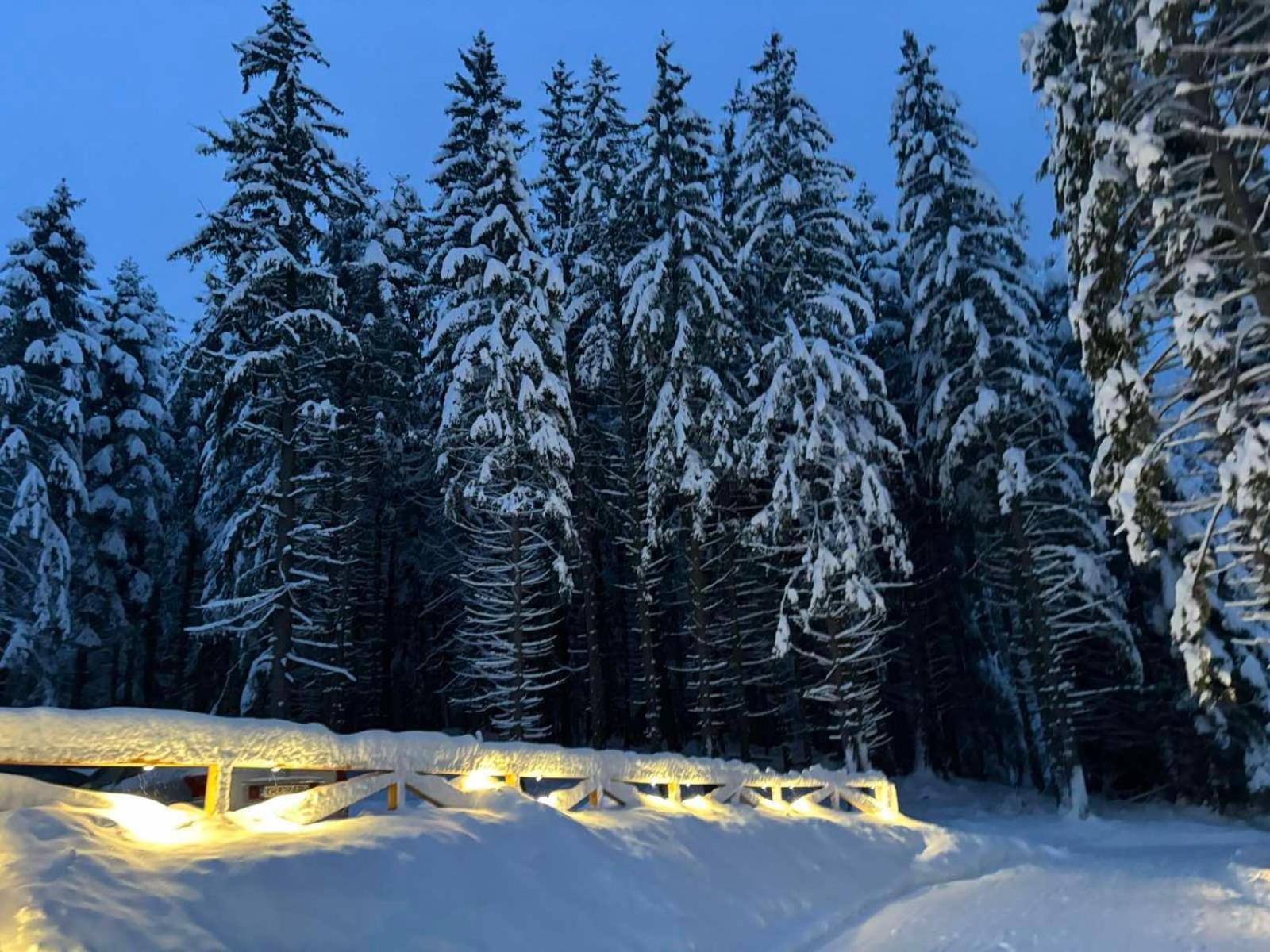 ホテル Algara Hut パニチシテ エクステリア 写真