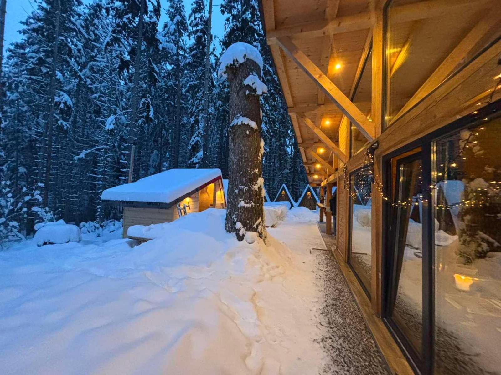 ホテル Algara Hut パニチシテ エクステリア 写真