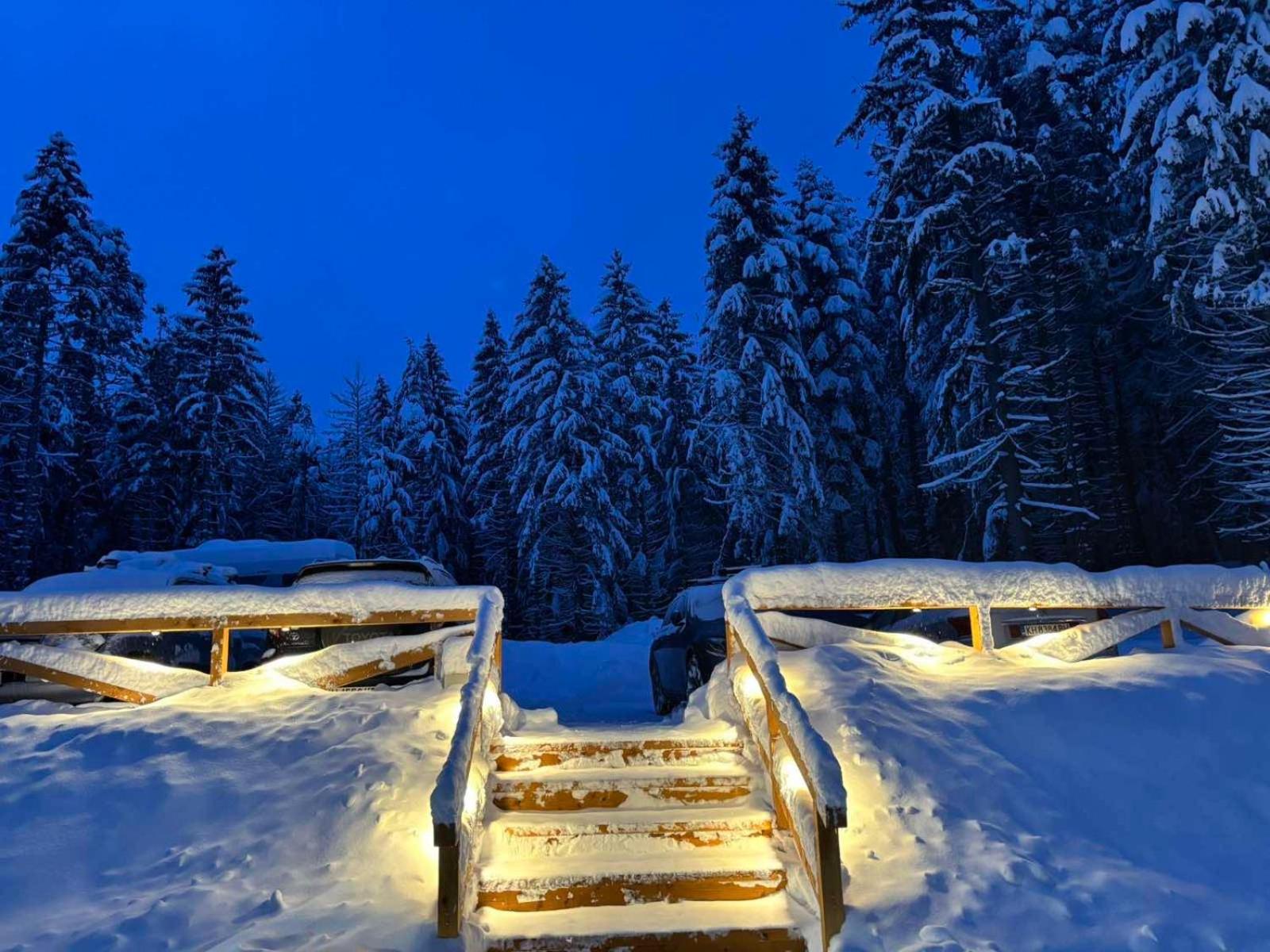 ホテル Algara Hut パニチシテ エクステリア 写真